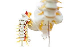 Get The Right Treatment For Spinal Cord Tumors