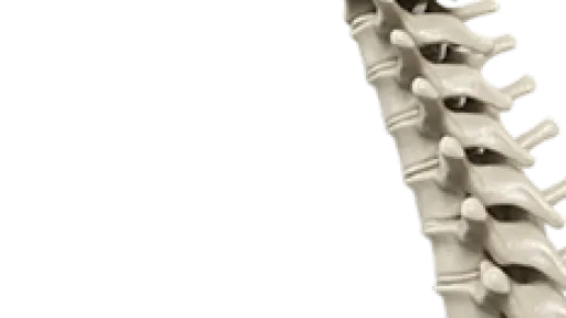 pl