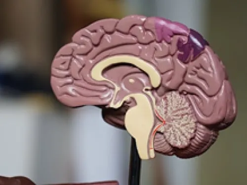 Surgical management of brain tumor